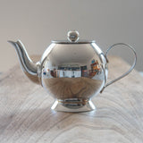 Stainless Steel Teapot with Integrated Filter